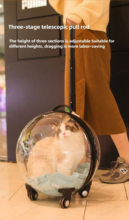 Cage de transport chien- Bulle transparente