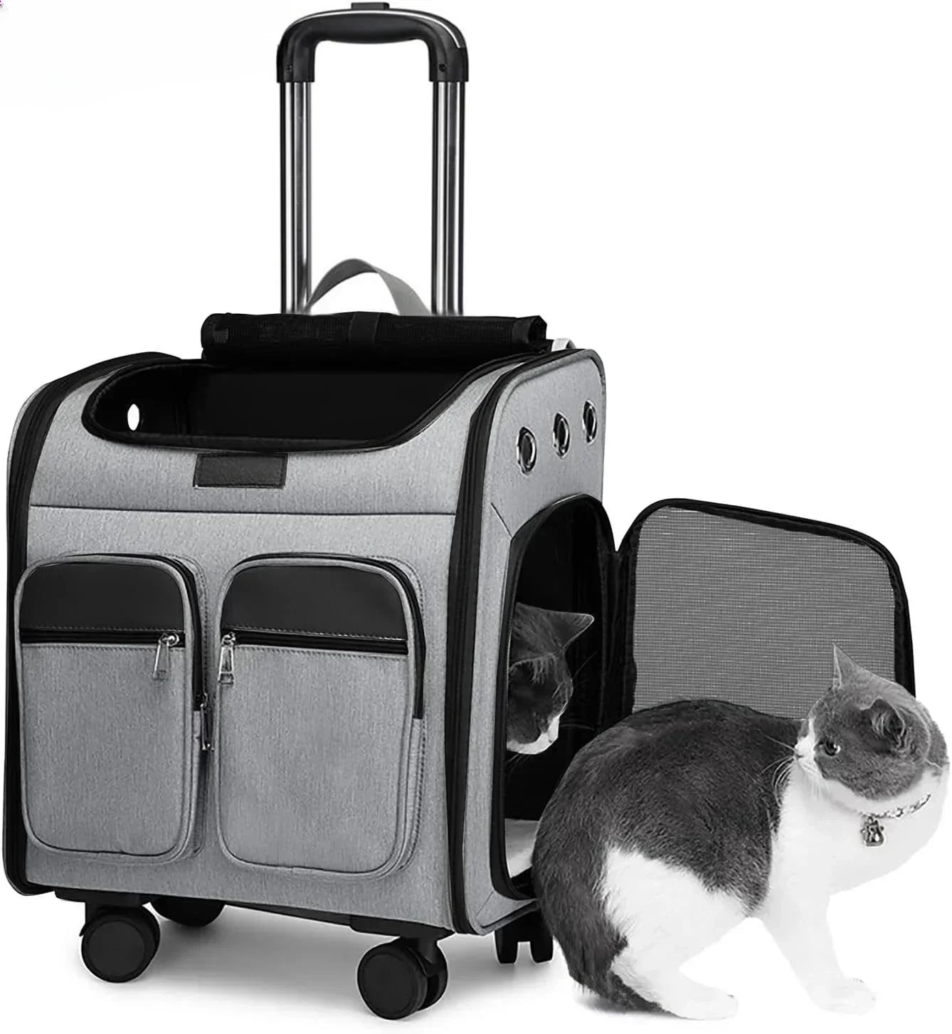 Cage transport chien- Wheeled  Backpack