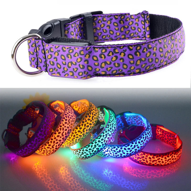 Collier chien lumineux-Léopard LED