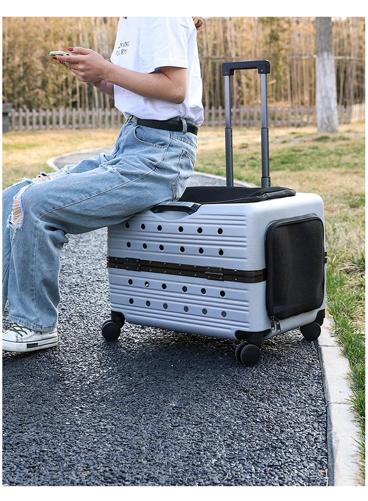 Cage pour chien- NIOPEPPA Suitcase Transparent