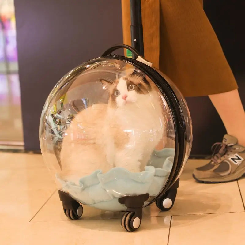 Cage de transport chien- Bulle transparente
