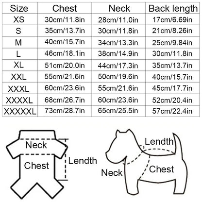 Pull pour Chien | Tendance Confort