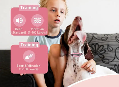 collier dressage chien- anti aboiement sans chocs