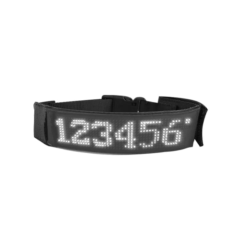 Chien collier lumineux | SafePet