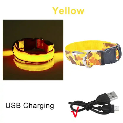 Collier chien lumineux-Camouflage LED