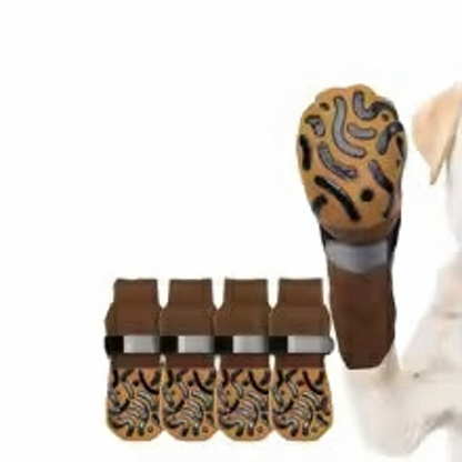 Chaussette pour chien | PattProtect