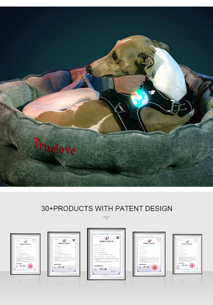 Collier chien lumineux- Truelove Safety LED Light