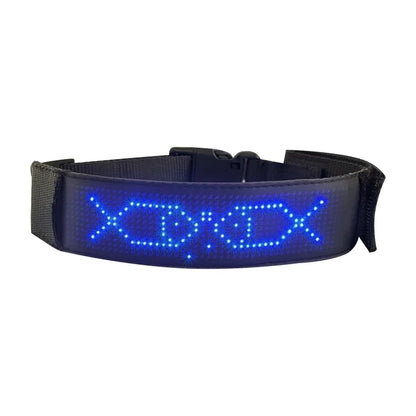 Chien collier lumineux | SafePet