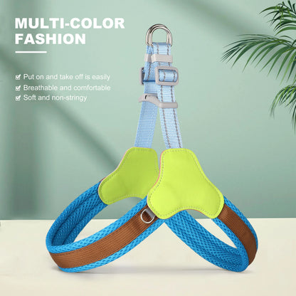Harnais chien anti traction- Didog Couleur Vive