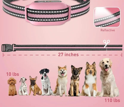 collier dressage chien- anti aboiement sans chocs