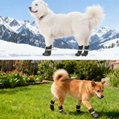 Chaussette pour chien | PattProtect