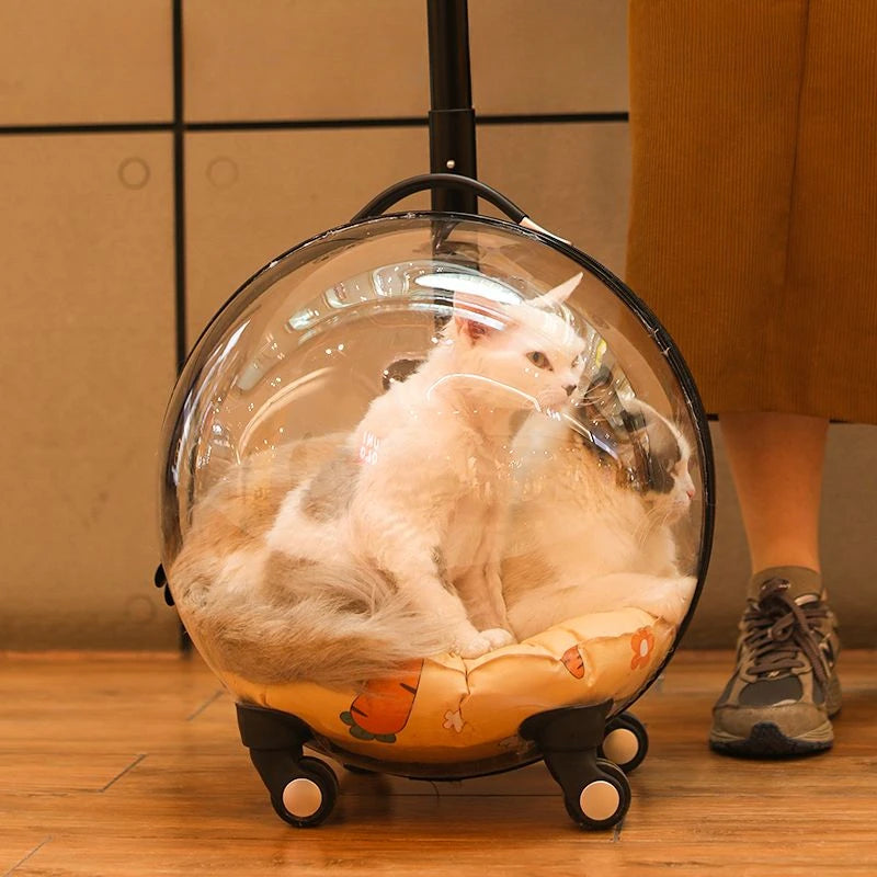 Cage de transport chien- Bulle transparente