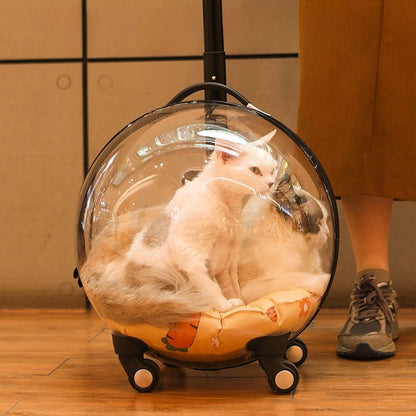 Cage de transport chien- Bulle transparente
