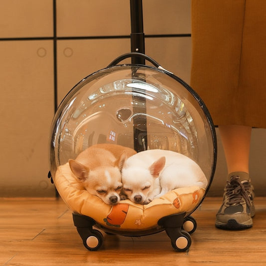 Cage de transport chien- Bulle transparente