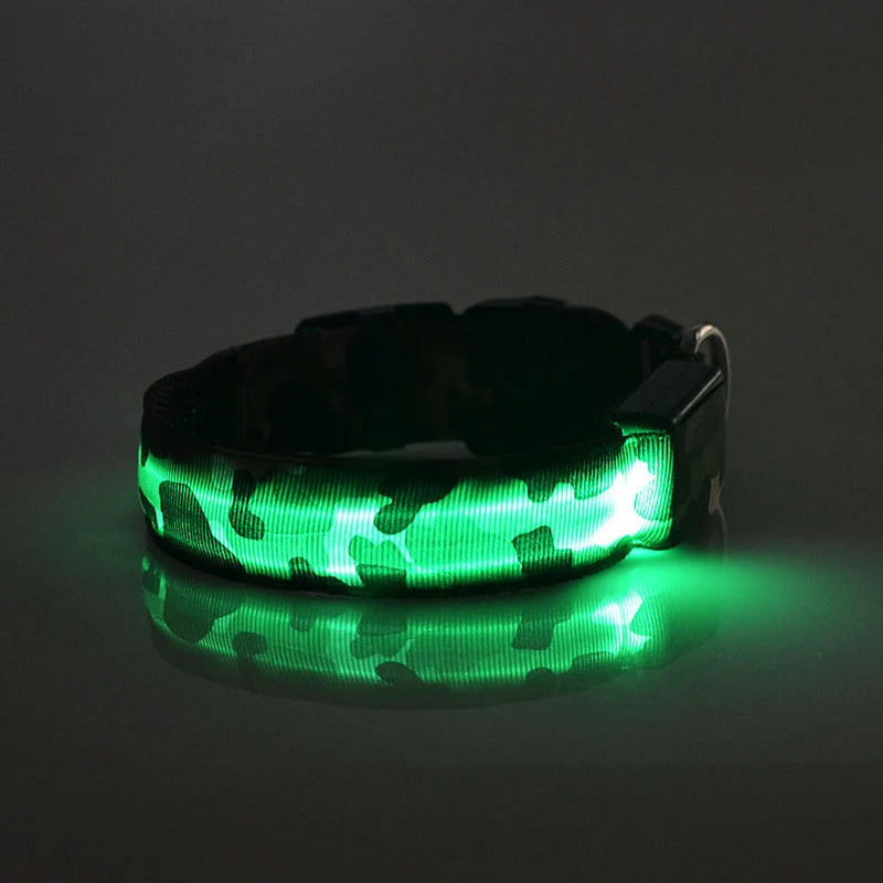 Collier chien lumineux-Camouflage LED