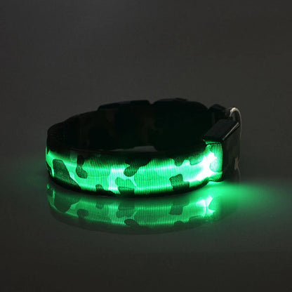 Collier chien lumineux-Camouflage LED