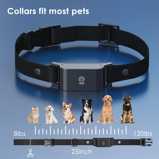 Collier anti fugue chien - Locator collar