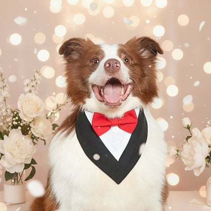 Bandana chien | Élégance Cérémonielle
