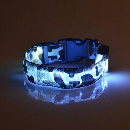 Collier chien lumineux-Camouflage LED