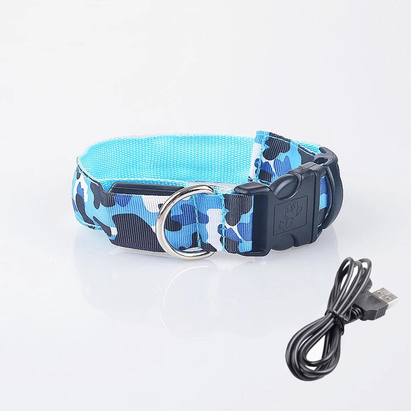 Collier chien lumineux-Camouflage LED