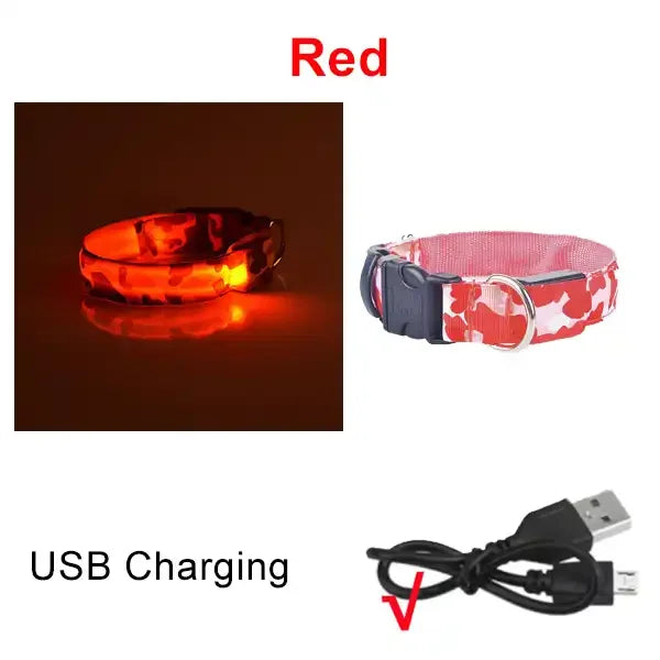 Collier chien lumineux-Camouflage LED