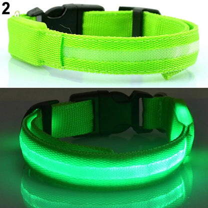 Collier Chien LEDCollarDog™