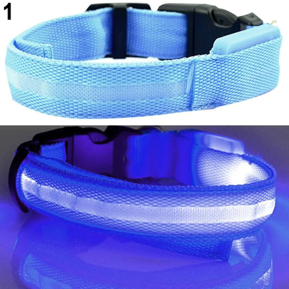 Collier Chien LEDCollarDog™