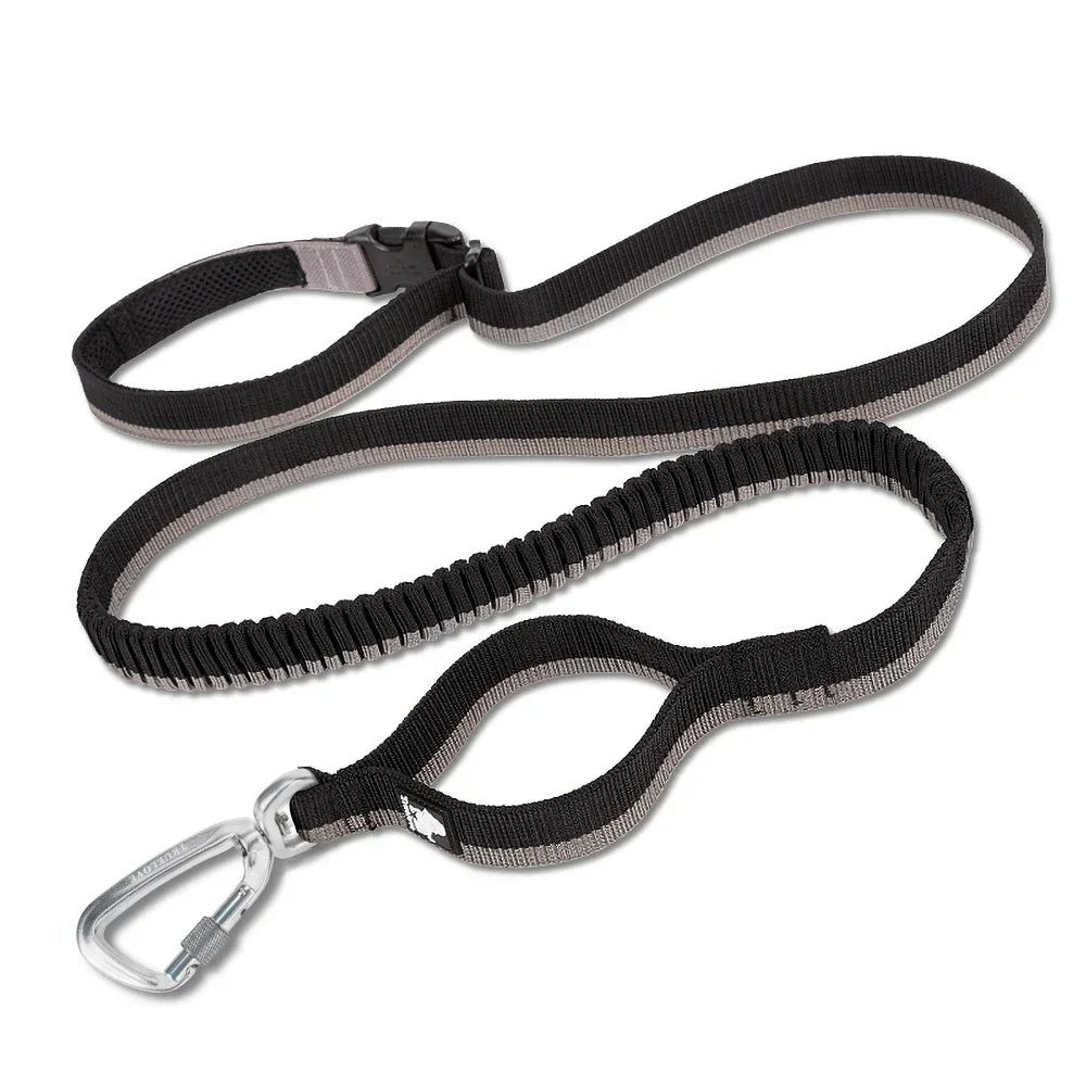 Laisse pour chien- TRUELOVE Carabiner