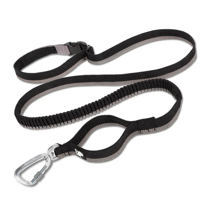 Laisse pour chien- TRUELOVE Carabiner