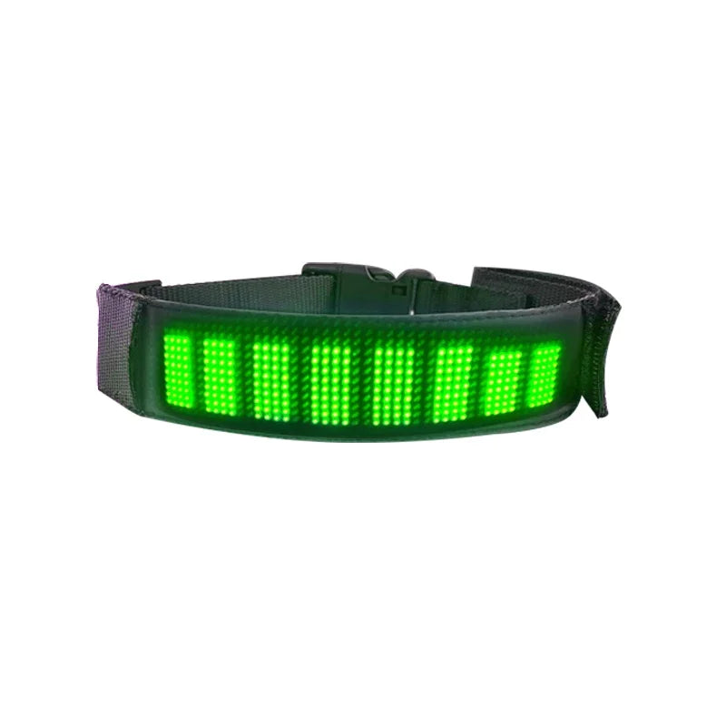 Chien collier lumineux | SafePet