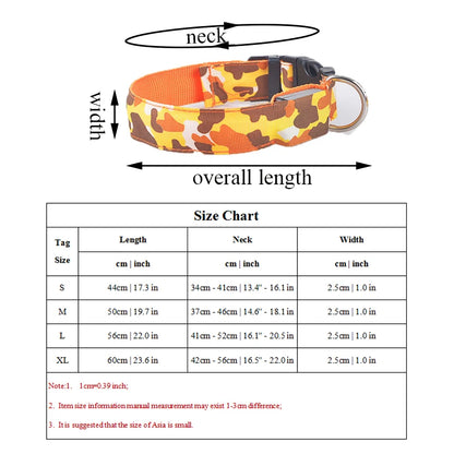 Collier chien lumineux-Camouflage LED
