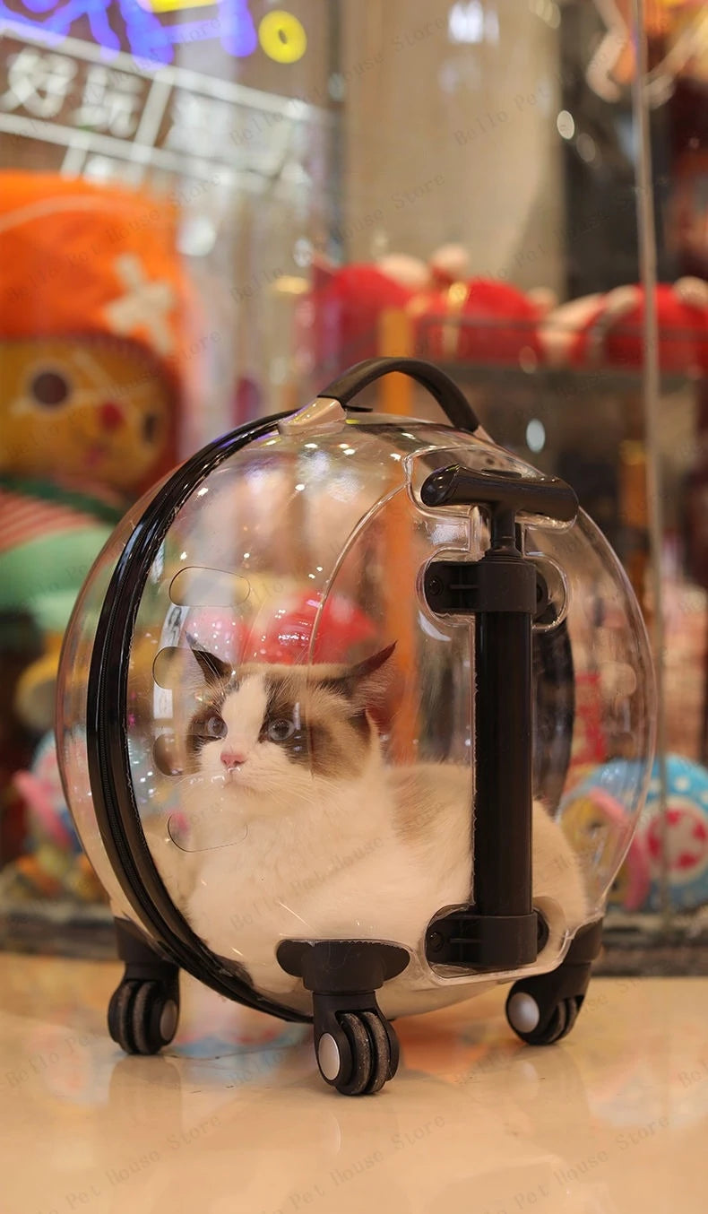 Cage de transport chien- Bulle transparente
