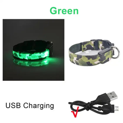 Collier chien lumineux-Camouflage LED