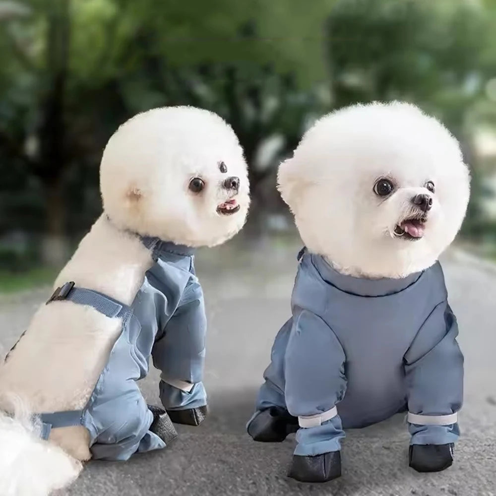 Bottes pour chien | TrekShield