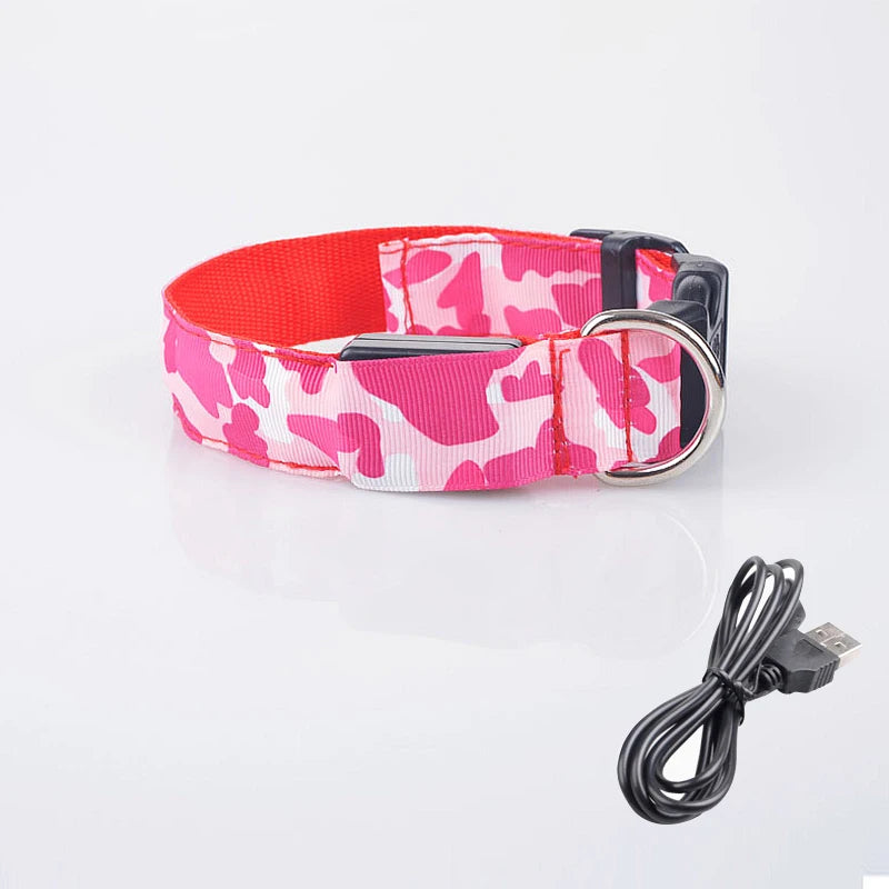 Collier chien lumineux-Camouflage LED