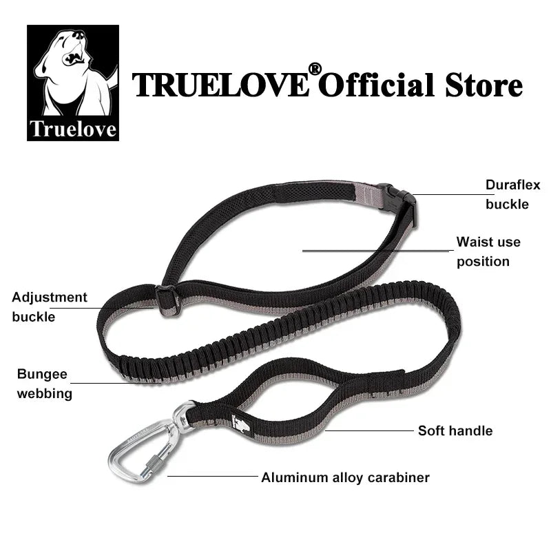Laisse pour chien- TRUELOVE Carabiner