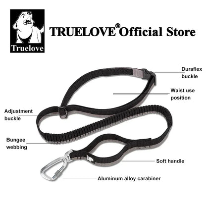 Laisse pour chien- TRUELOVE Carabiner