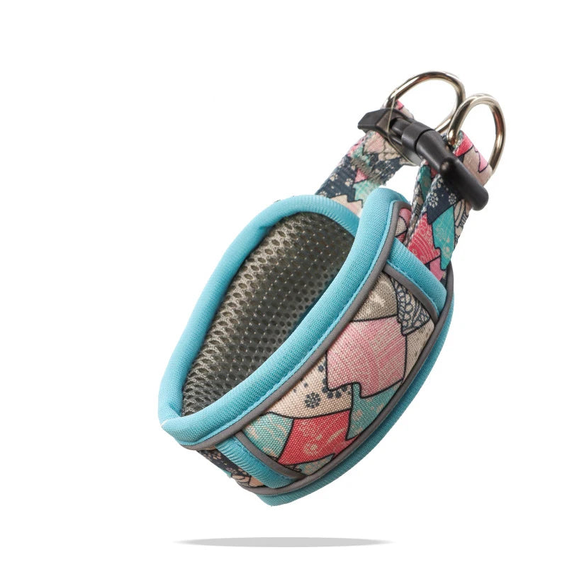 Collier de dressage pour chien- Confortable Extensible