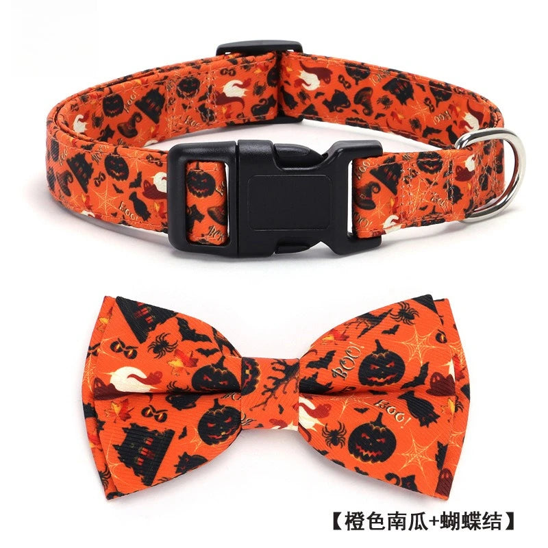 collier chien | Halloween Festif