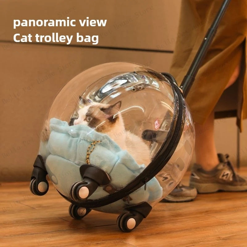 Cage de transport chien- Bulle transparente