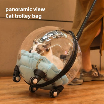Cage de transport chien- Bulle transparente