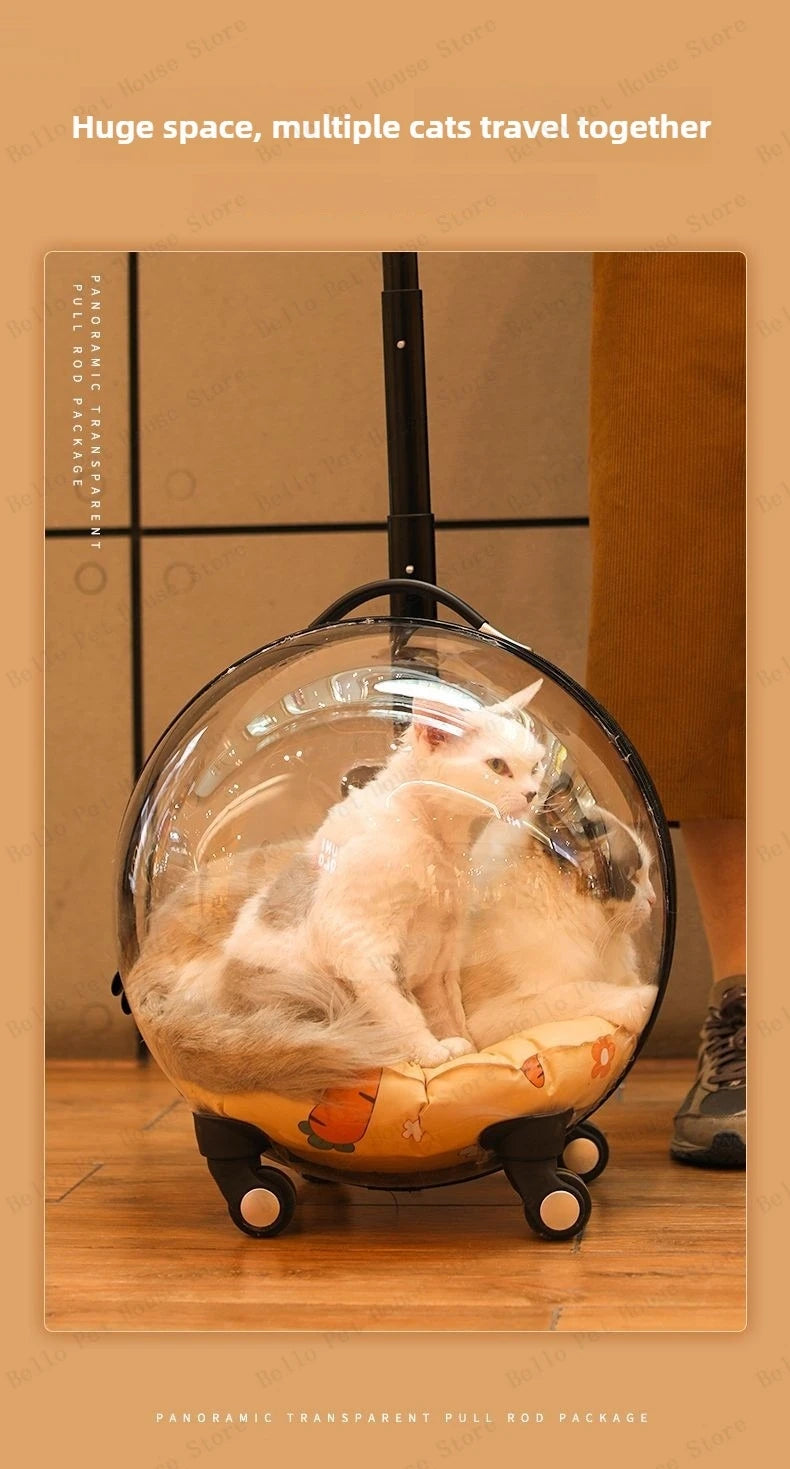 Cage de transport chien- Bulle transparente