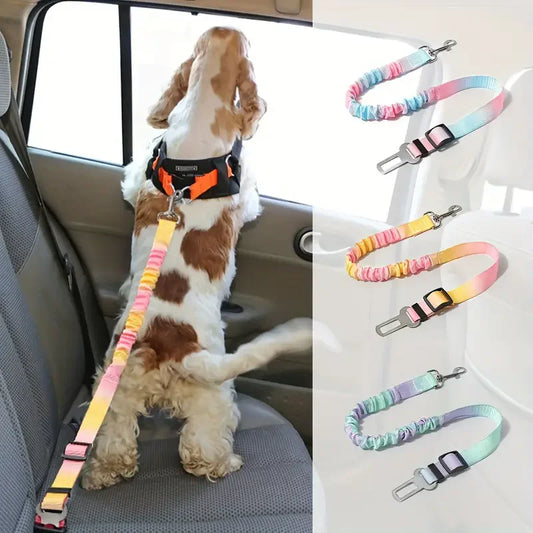 Laisse pour chien- Absorption choc pour voiture
