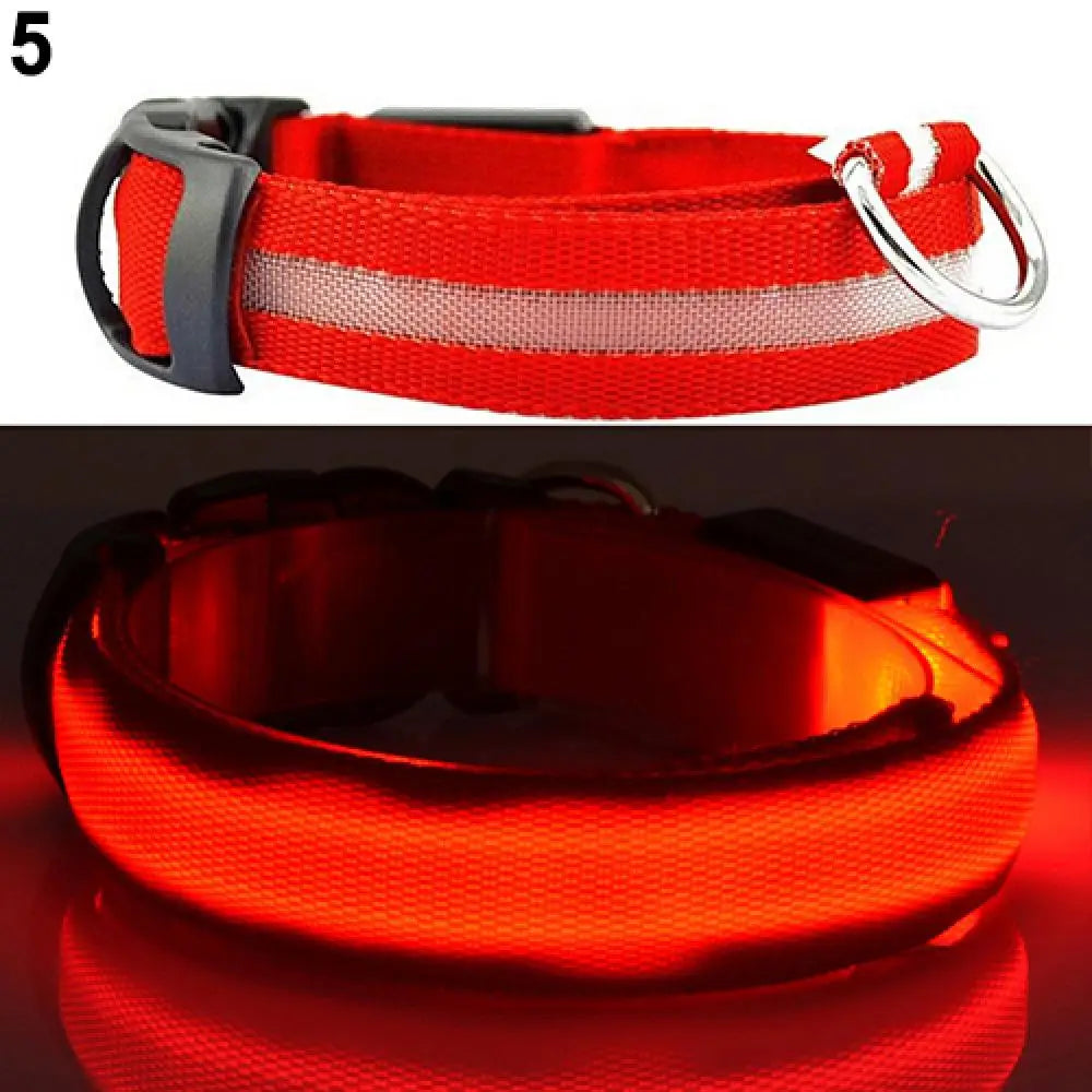 Collier Chien LEDCollarDog™