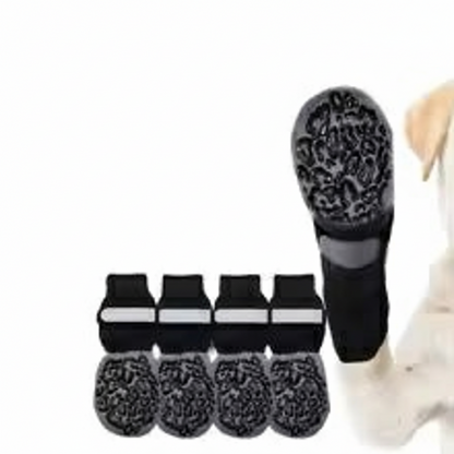 Chaussette pour chien | PattProtect