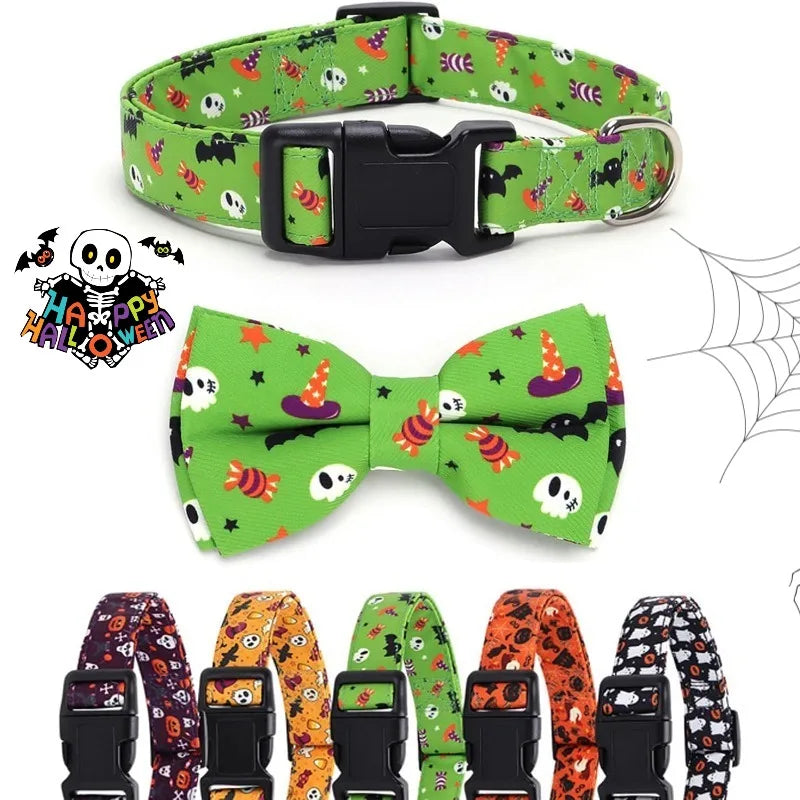collier chien | Halloween Festif