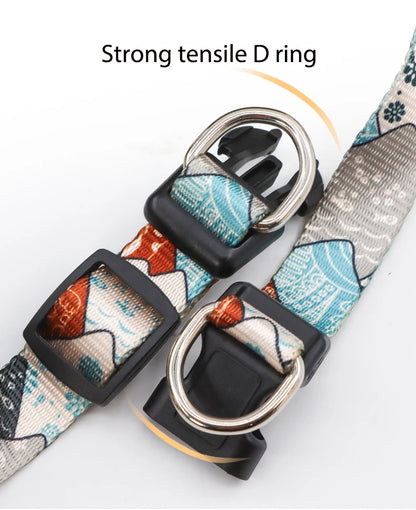 Collier de dressage pour chien- Confortable Extensible