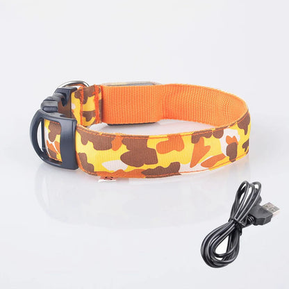Collier chien lumineux-Camouflage LED