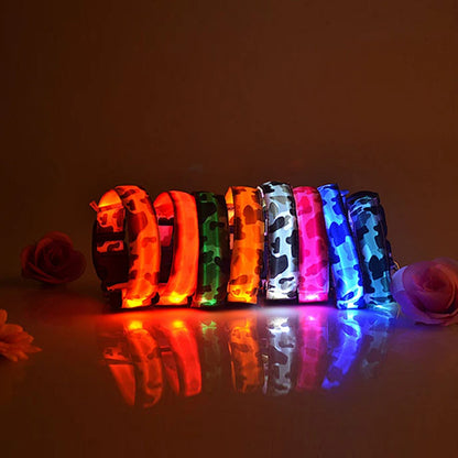 Collier chien lumineux-Camouflage LED