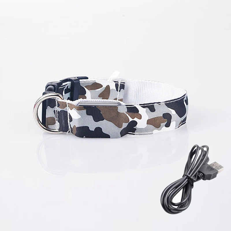 Collier chien lumineux-Camouflage LED